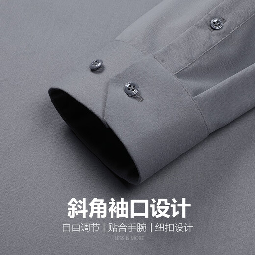 Vêtements pour hommes d'affaires de la jeunesse Lilang [Bamboo à fibre verte environnementale] chemise masculine élégante et facile à soigner
