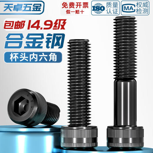 Tianzhuo Hardware 14.9 grade high-strength hexagonal socket screws bolts alloy steel black extended screws M6M8M10M12M14M16 M6*25 (5 full teeth)