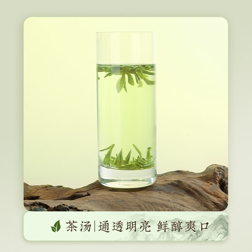 第一江南2025新茶绿茶龙井特级250g明前茶叶礼盒春茶嫩芽千里江山高端送礼