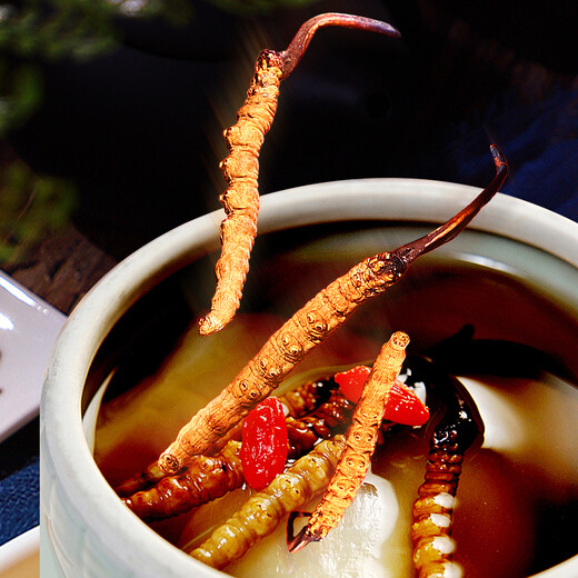 Cordyceps de Mountain Cordyceps Sinensis sélectionné de haute qualité, propre et lyophilisé Cordyceps dodyceps et ininterrompu Boîte-cadeau du Nouvel An 3-5 pièces / gramme