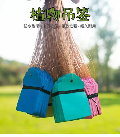 奔新农果树木植物吊牌带绳园艺标签牌防水塑料标记牌多肉吊签牌花卉挂牌 5×3.5白色100张