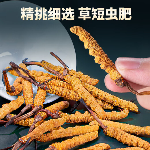 
Tongfu Cordyceps sinensis 3 roots/g 100g About 300 roots gift boxes, nourishing nutritional supplements, gifts for elders