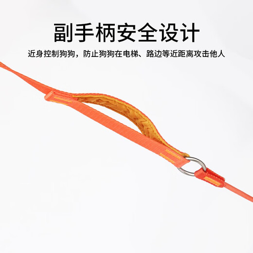 HowgoHowgo Training P Rope Dog Leash Dog Rope Harness Small, Medium and Large Dog P Chain Explosion-Proof No Hair Stuck No Hair Stuck Upgraded Dopamine Training P Rope