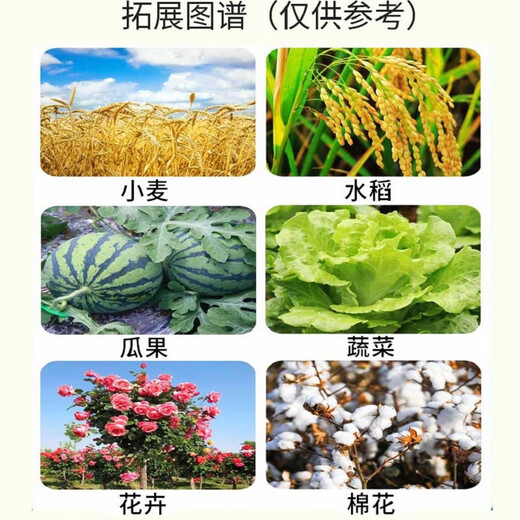 Hulian Plant Protection Pesticide 14 Hydroxy Brassinosteroid 0.04% Brassinolide Rooting and Strengthening Seedlings Relieving Chemical Damage Preserving Flowers and Fruits Increase Yield 100ml/5 Bottles