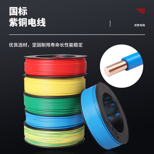 正泰（CHNT）正泰CHNT正泰配电箱工地三相四线定制低压动力三级配电柜成套电控 正泰单相配置七