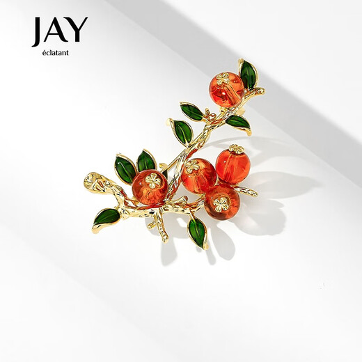 Jay Shishi Ruyi brooch for women Chinese style New Year's celebration birthday gift for elders, mother and mother-in-law