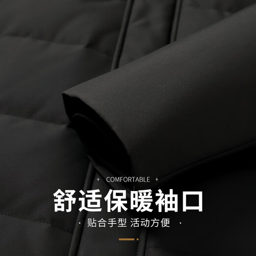 Flying in the Snow Goose Down Down Jacket Men's Removable Hat Casual Business Autumn and Winter Thickened Short Jacket Men's 185