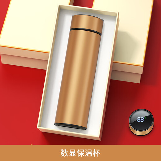 Cadeaux de remise des diplômes en pavillon Xian exilé aux enseignants de la classe de maternelle pratique Classe des enseignants Coupe d'eau personnalisée Cup de eau Memorable Golden-304 Digital Display Thermos 500ml
