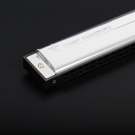 TOMBO通宝6624P纯音口琴hope24孔复音套装演奏A B C D E F G 单音口琴 24孔 G调