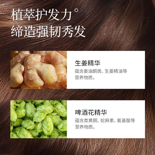 蜂花无硅油生姜洗发水男女士去屑去油清爽控油洗发露滋养改善发质蓬松 生姜健发洗发露500ml