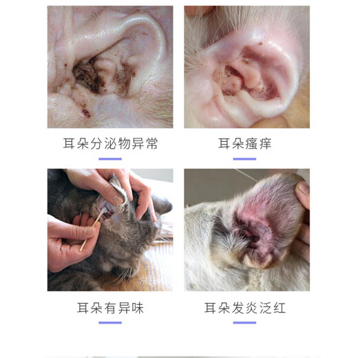 Ferret Fragrance Ferret Pet Ear Drops Ear Bleaching Ear Kang Removes Ear Mites and Ear Oil Cats and Dogs Ear Cleansing Liquid Pet Daily Supplies Eye Wash *1
