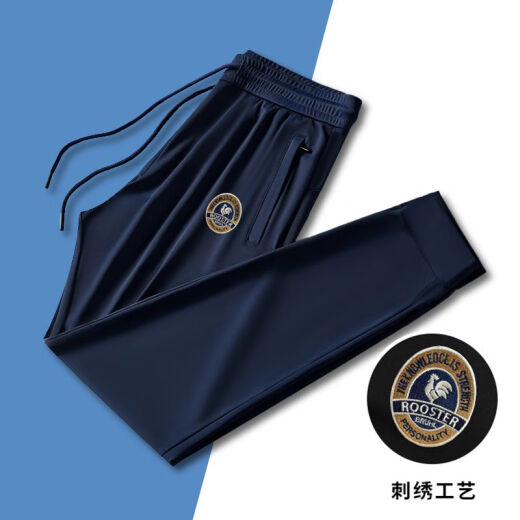 FZAF轻奢男装休闲裤男2025夏季欧货潮牌时尚帅气百搭小直筒运动长裤 黑色G878 薄款 XL 31-32（建议120-140斤）
