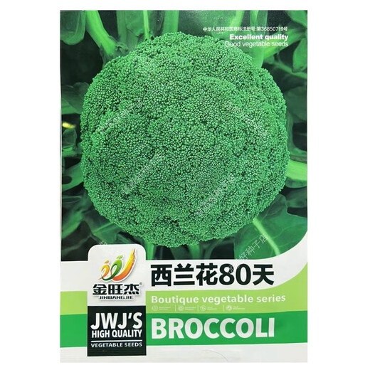 Broccoli seeds broccoli seeds loose cauliflower seeds cauliflower green cauliflower seeds four seasons vegetables original purple cauliflower seeds 2 bags (about 200 grains