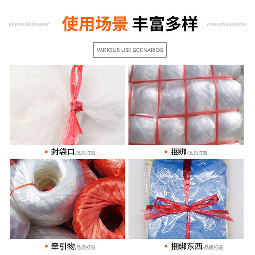 Baige Packing Rope Plastic Packaging Rope Nylon Rope Warehouse Express Moving Bundling Rope Bundling Rope Red 6pcs CDA1580