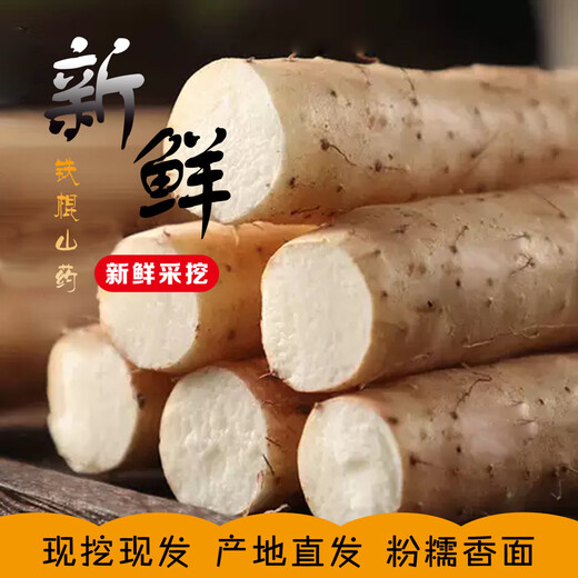 Authentic iron rod yam, Huaiyam yam, iron rod yam, Jiaozuo Wenxian pink glutinous sweet fresh yam, iron rod yam 5Jin Jin equal to 0.5kg, with box 60cm-80cm