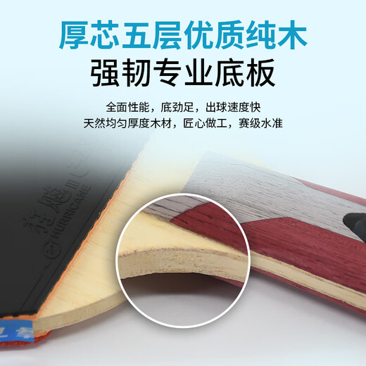 红双喜（DHS）狂飚五星级乒乓球拍横拍双面反胶弧圈结合快攻H5002 附拍套