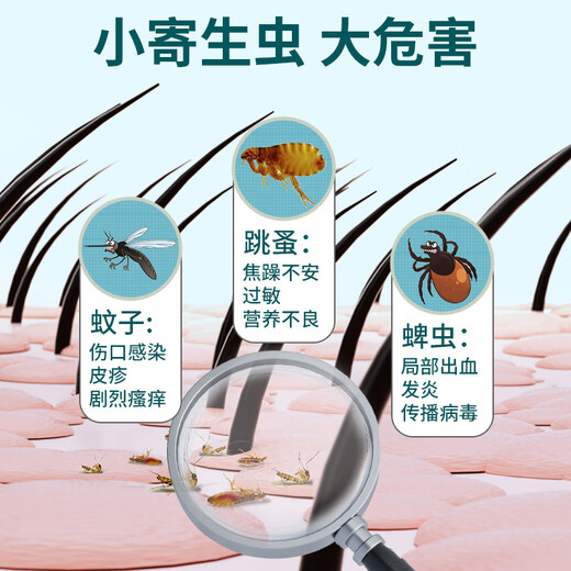 XINGKU cat deworming collar pet cats use external fleas lice ticks and ticks to prevent mosquito bites [Cat] deworming collar
