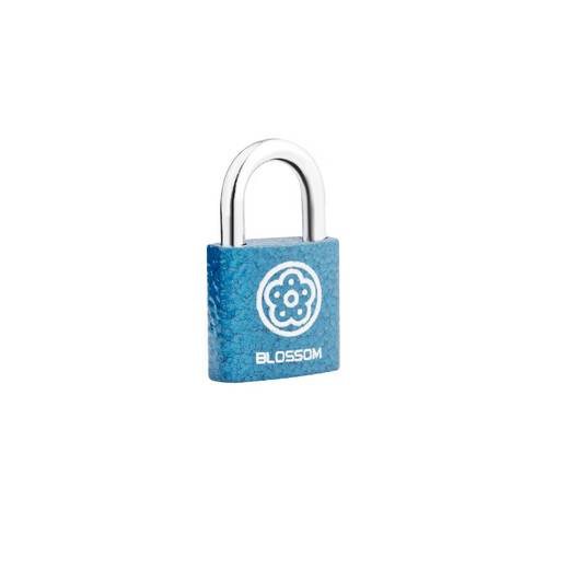 Plum Blossom (BLOSSOM) drawer lock padlock tool box indoor small lock student dormitory cabinet door lock meter box lock BC2925 blue 25MM