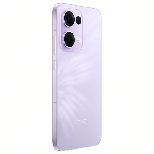 OPPO Reno13 手机【国补】全网通5G智能拍照手机 opporeno13 超美小直屏 AI高清实况照片 IP69满级防水 12GB+256GB 蝶蝶紫 官方标配【全国联保】
