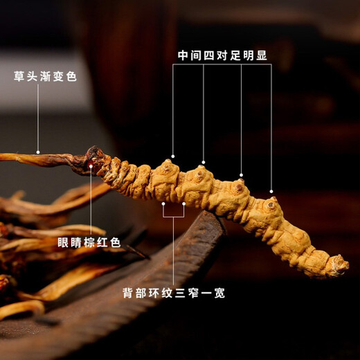 Shanwei Cordyceps sinensis 10g Total de 40 cajas de regalo de Cordyceps a gran altitud para dar regalos de alta gama a los ancianos y conocer gente noble