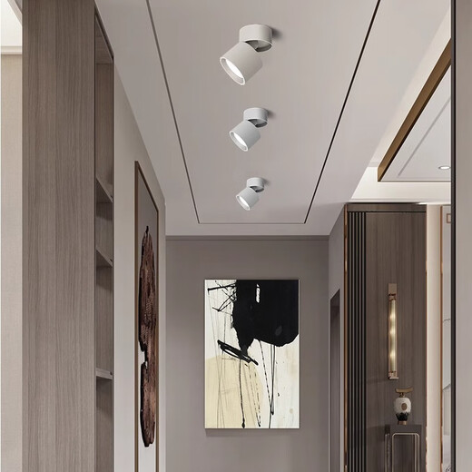 Fanyao Adjustable Angle LED Downlight Spotlight Surface Mounted Foldable No Opening Hole Living Room Background Wall 7w-Spotlight Type