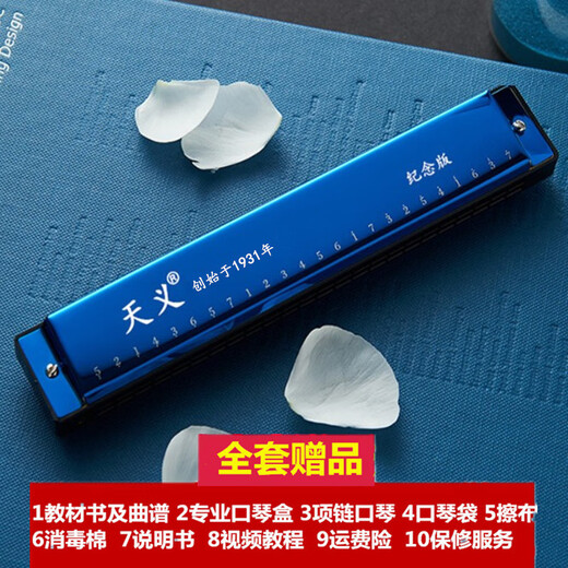 口琴24孔c调复音演奏级成人儿童男女初学者学生入门 宝石蓝+全套