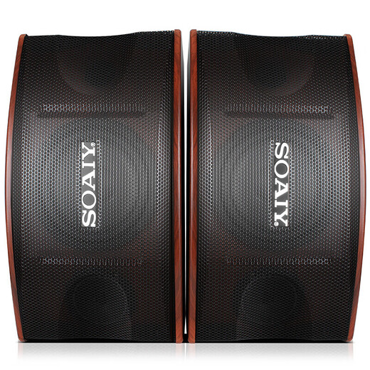 Sony Ericsson (soaiy) home KTV audio set conference audio KTV amplifier machine karaoke machine all-in-one stage audio 6.5 inch set