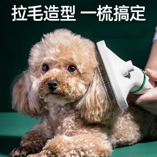 Pet hair dryer, all-in-one quick-drying Bichon Teddy fluffy comb, cat and dog bathing and blow-drying tool, flagship powder, dual-core motor + protective coating + temperature control, twenty-year warranty (millions, pursuit of quality)