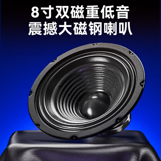 先科会议室音响设备全套家庭KTV演讲培训背景音乐套装 蓝牙功放壁挂音箱无线麦克风 W8-1 8吋超薄套装+双手持麦克风