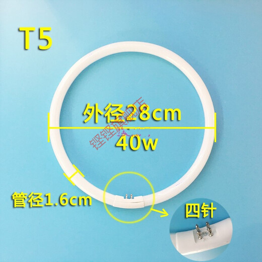 铿铿（KENGKENG）铿铿圆形灯管 环形荧光管 22w32W40瓦吸顶灯管 圆形O T5T6 T655W环形管外径32cm 51-60W