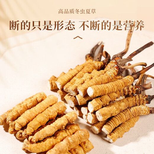 正宗藏区高海拔冬虫夏草断草整肉节10克大瓶装自用家庭装干货正品 西藏那曲精品整肉节5克