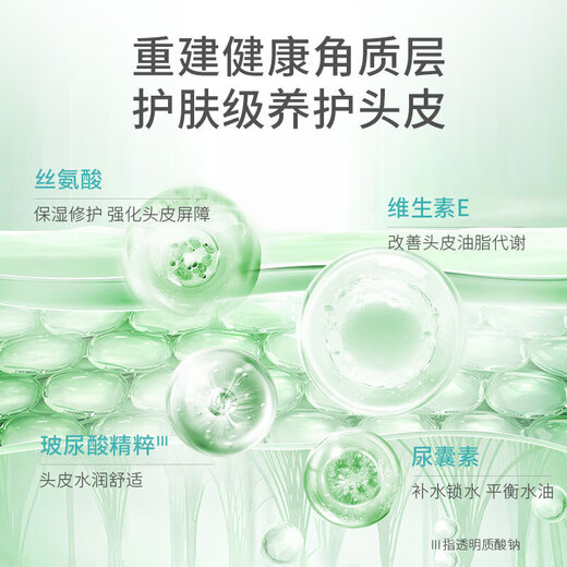 Yujie Oil Control Fluffy Anti-dandruff Shampoo Woodpecker Forest Woody Shampoo Long-lasting Refreshing Soft Shampoo Liquid Anti-dandruff Anti-itnuity Shampoo 400mL