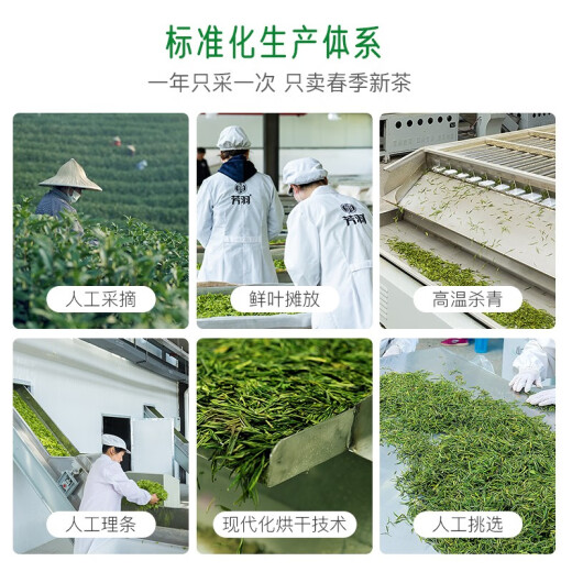 Fangyu Anji White Tea Special Four Diamond Mingqian Green Tea 250g New Tea in 2025 Bag Tea Leaves