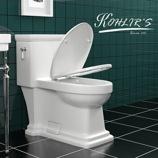 European retro toilet home bathroom flush rainbow style personalized creative American classical toilet Type A (solid wood cover) 400mm