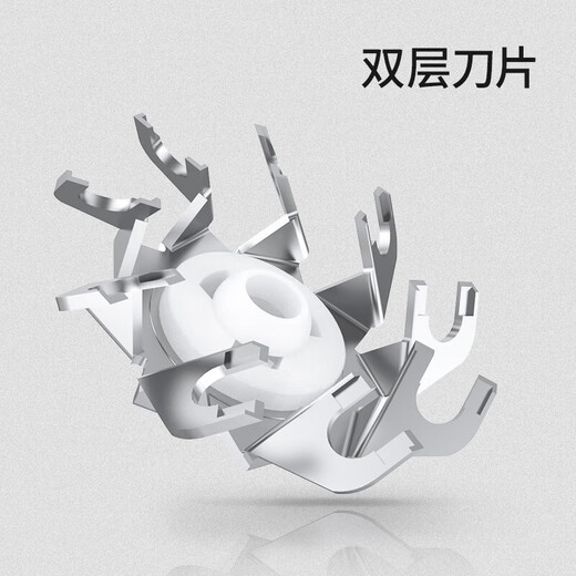 华而实适用飞科剃须刀男刀头刀片双头2头刮胡刀FS711 821 871 fs873 FR6 FS829【整个机头】 （送保养油+