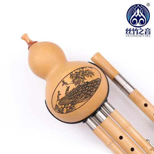 Der Klang von Seide und Bambus, Hulusi Nanzhu, Yunnan Nationales Musikinstrument, erwachsene Kinder, Grundschüler, professionelle Leistung, Hulusi Anti-Fall-Doppelrohr, C Key + B Flat Key