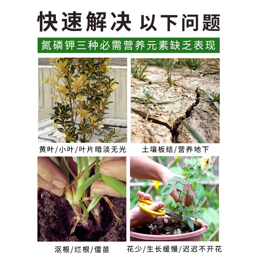 贝可施三元复合肥大量元素农用花肥料盆栽家用养花蔬菜氮磷钾家用 【尊享款】复合肥(17-17-17)500g
