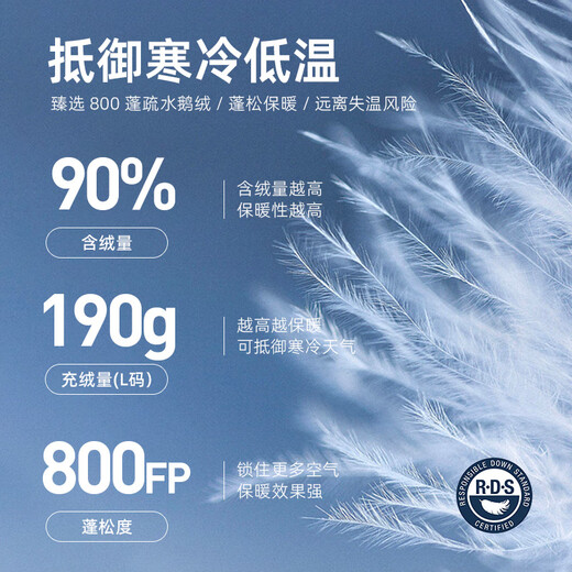 Rab Out of Stock Men's 800 Canopy European Goose Down Down Jacket Hooded Warm and Breathable 523g QDN-85 Black PRO Autumn and Winter New Product QDB-81 L