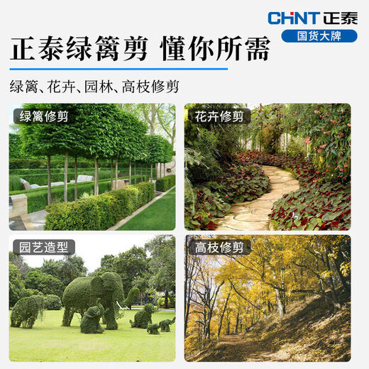 Chint (CHNT) gardening pruning shears, household lawn pruning, garden pruning knife, branches, hedges, flowers and plants, garden scissors, 5-speed telescopic wave pattern hedge shears