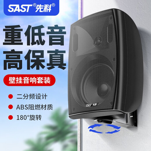 先科（SAST） 壁挂蓝牙功放重低音音响套装大功率影音箱组合家用店铺室内超市餐厅挂壁式奶茶店背景音乐 100W功放+4寸重低音壁挂*2
