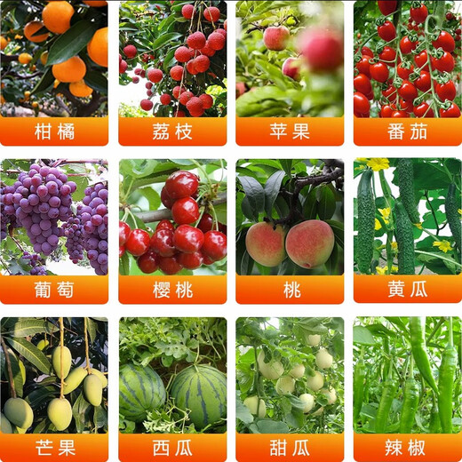 Saga Fluid Boron Liquid Boron Fertilizer Foliar Fertilizer Fruit Leaf Fertilizer Agricultural Boron Fertilizer 1300g