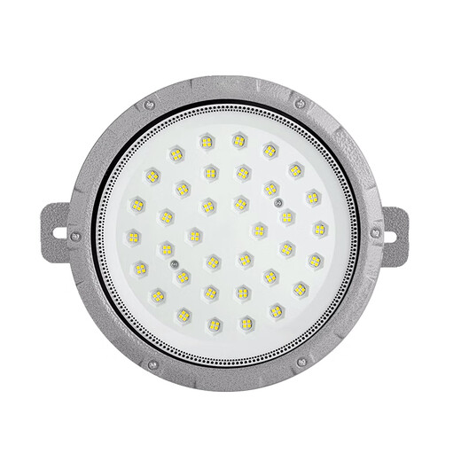 Xinya explosion-proof lamp led ceiling lamp IP65 factory warehouse explosion-proof lamp gas station workshop factory lighting explosion-proof floodlight 50W