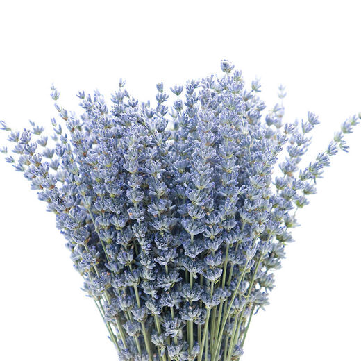AIMAN dried lavender bouquet living room home decoration natural dried bouquet real flower aromatherapy internet celebrity flower arrangement ins gift 250g space blue half Jin Jin equals 0.5kg dark blue new summer flowers all in English newspaper packaging