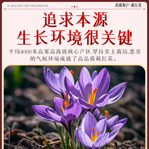 Nantong Jiufang Nanjing Tongrentang Saffron Authentische Tibet -Geschenkbox für ältere Freundin Frau Frauen nahrhaft 1G Geschenkbox