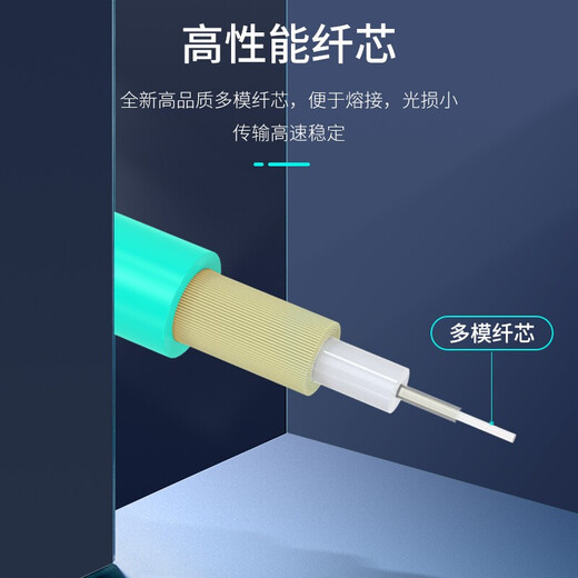 胜为（shengwei） 万兆多模光纤跳线LC OM3-300双芯尾纤Φ2.0低烟无卤LSZH抗弯曲 LC-LC多模万兆（50/125） 2米