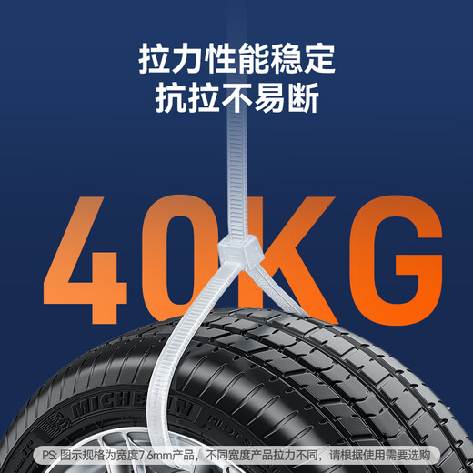 山泽 自锁式尼龙扎带 小号国标2.5*200mm 电脑装机 园艺 理线束线捆扎绑带 白色 约100根/袋ZD-40