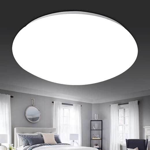 Micro ceiling lamp LED super bright home living room bedroom kitchen lamp round staircase balcony simple 24W 26CM white light promotion