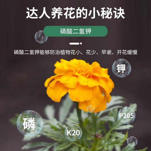 Huawoli potassium dihydrogen phosphate fertilizer 500g, potassium fertilizer to promote flowering and budding, fruit-preserving water-soluble compound fertilizer orchid foliar fertilizer