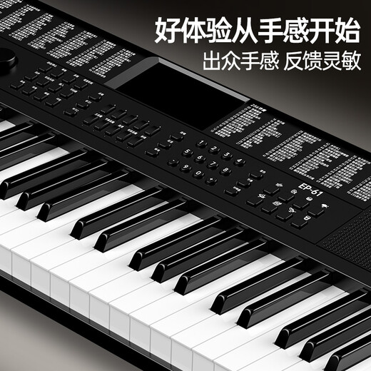 Terence electronic keyboard for adults and children with 61 keys, multifunctional portable musical instrument for beginners, holiday gift, classic black + Z-shaped piano stand + luxury gift bag