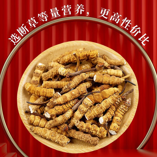 
[Treat the broken grass] Cordyceps sinensis large broken grass authentic Tibetan area broken grass genuine dried goods for self-eating. 10 grams of whole meat festival in Nagqu, Tibet. One gram is given for high-altitude meat festival 10 grams in Tibet.